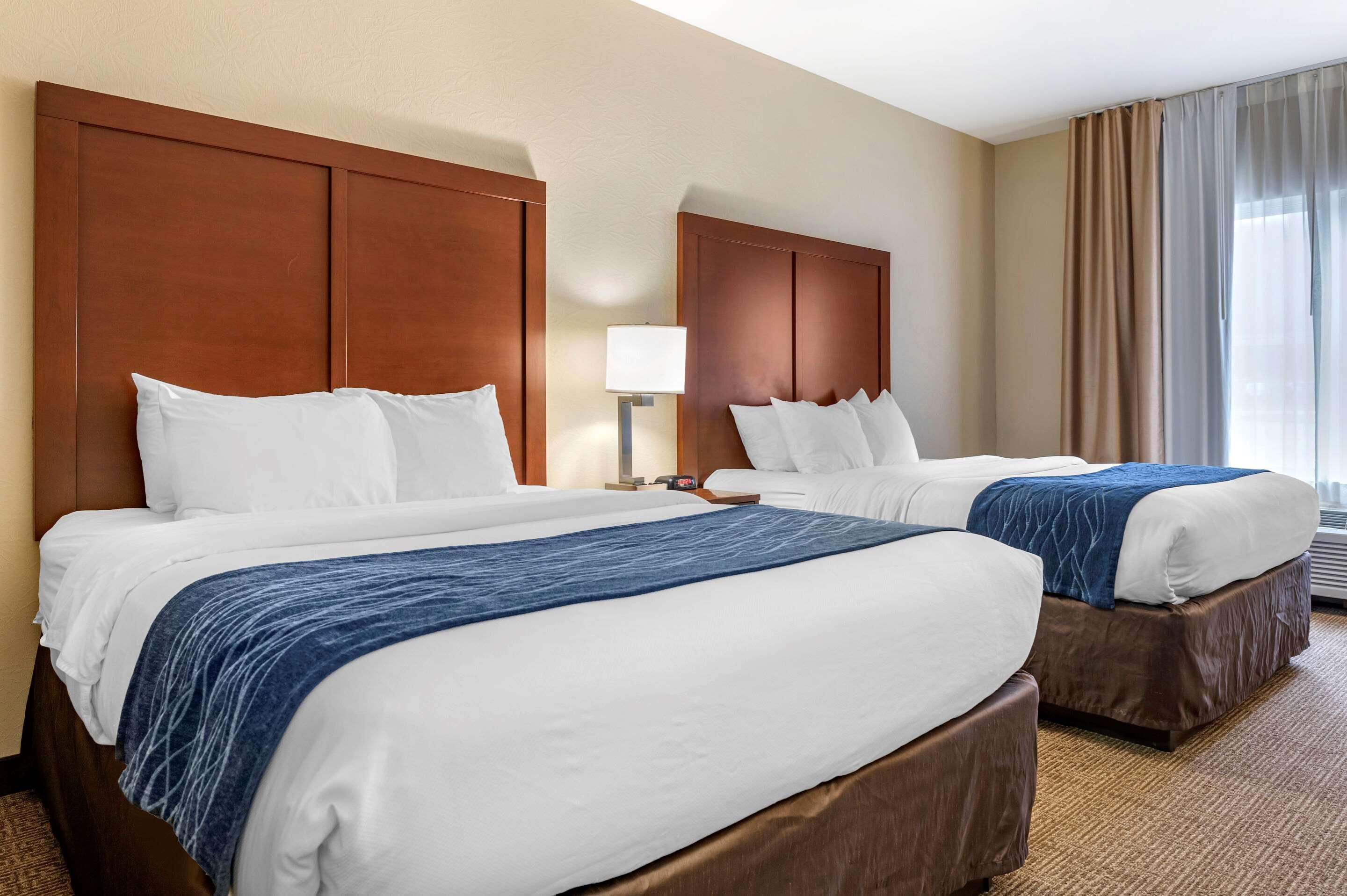 Comfort Inn & Suites Northern Kentucky Wilder Eksteriør bilde